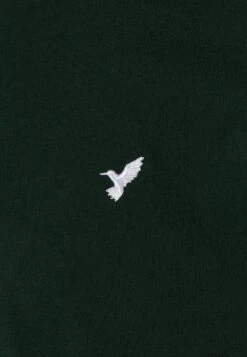 Pier One 5 Pack - Basic T-Shirt - White/Ark Green/Blue 21 Pier One 5 Pack - Basic T-Shirt - White/Ark Green/Blue -Fashion Store 19822f95d4c243b5a7cfa8d503e23581